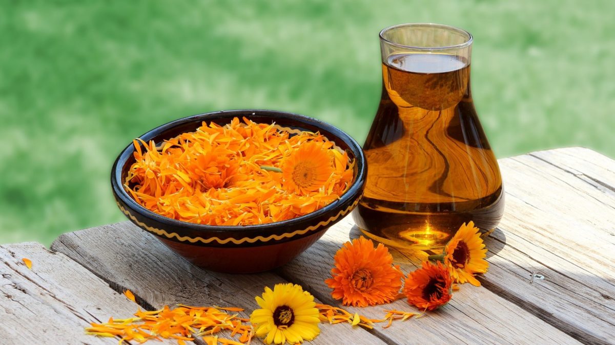 macerat calendula