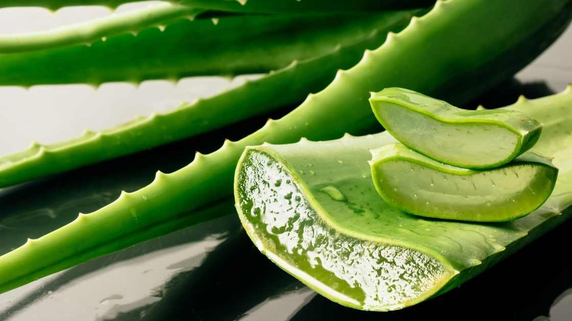 hydrolat aloe vera